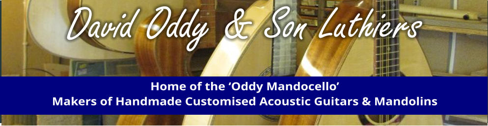 David oddy guitar on sale for sale